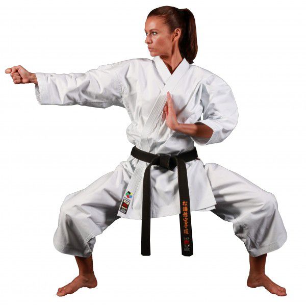 Pantalon De Karaté Playwell Silver - 283,5 G - 100% Coton - Taille élastique - Coupe Haute - Pour Entraînement Arts Martiaux